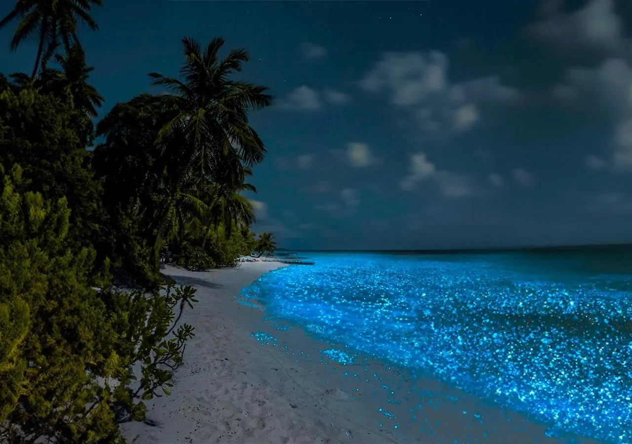 Bhoga Holbox Boutique Hotel