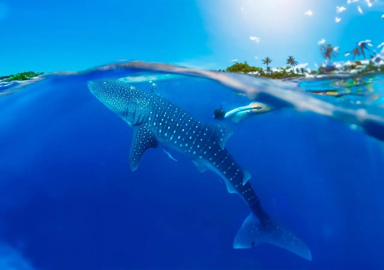 Bhoga Holbox Boutique Hotel 0*, Isla Holbox Mexico